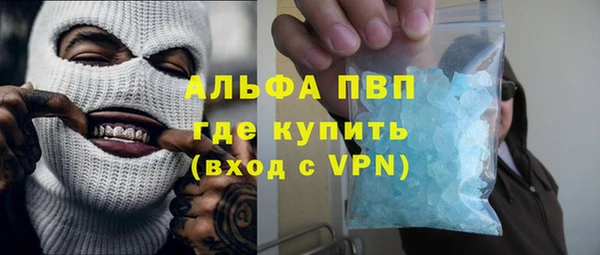 индика Медногорск
