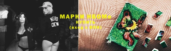 индика Медногорск