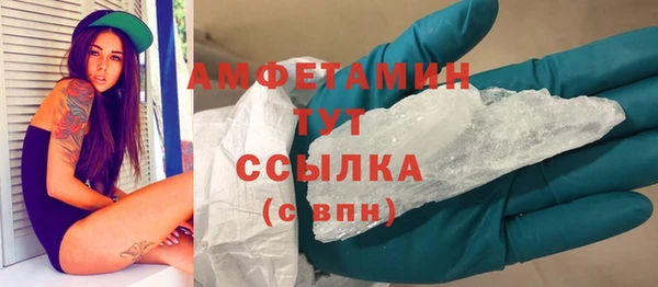 индика Медногорск