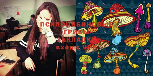 стаф Медвежьегорск