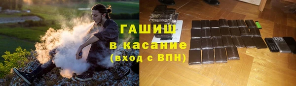 индика Медногорск