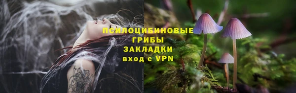 индика Медногорск