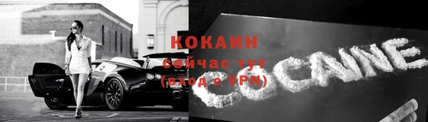 молекула духа Мегион