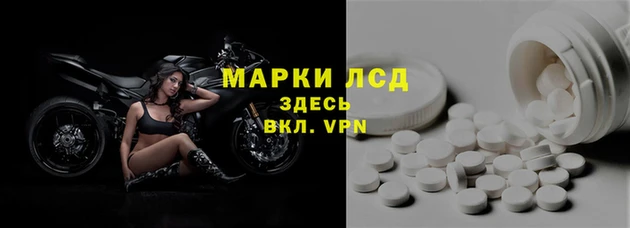 стаф Медвежьегорск
