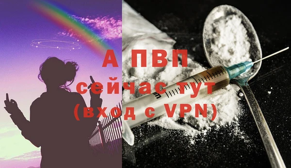 индика Медногорск