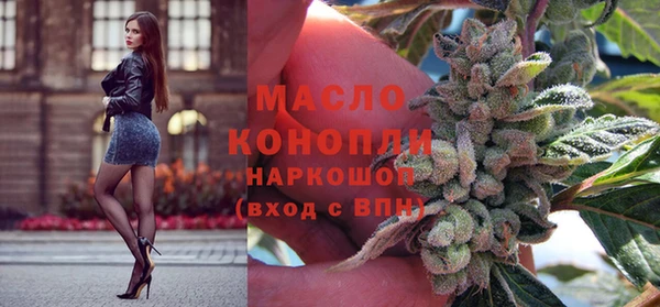 гашик Михайловка