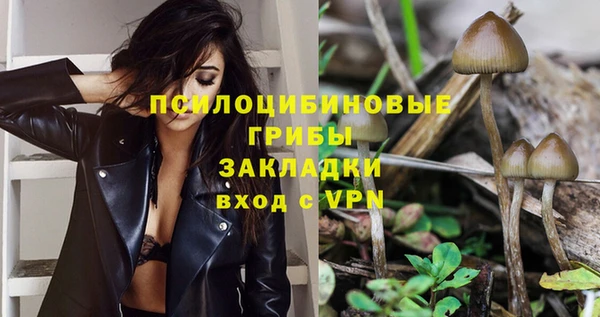 индика Медногорск