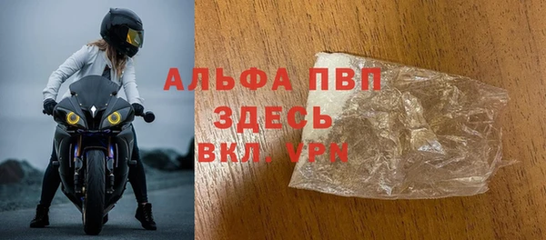 индика Медногорск