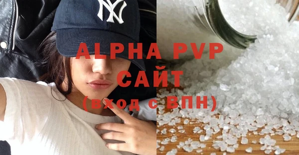 индика Медногорск