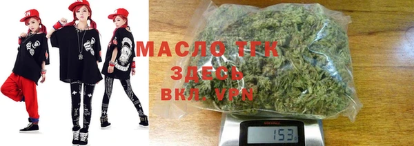 индика Медногорск