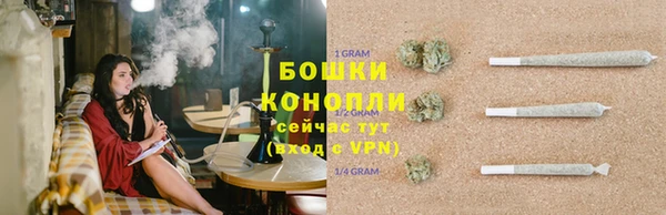 стаф Медвежьегорск