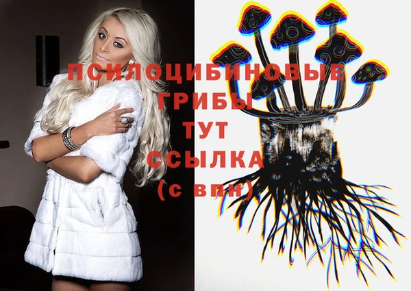 молекула духа Мегион