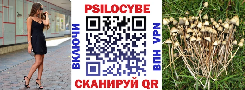 Купить где  Радужный  Галлюциногенные грибы Magic Shrooms 